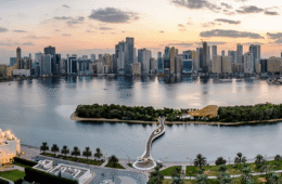 Process of SPC Free Zone Company Formation in Dubai